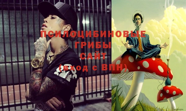 трава Арсеньев
