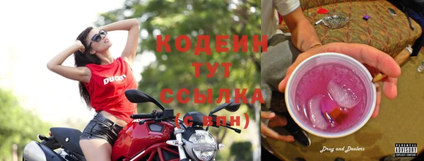 трава Арсеньев