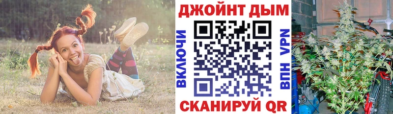 Бошки Шишки Amnesia  купить наркотики цена  Хадыженск 